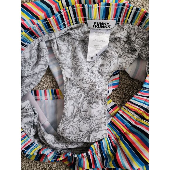 Funky Trunks multicolor stripe water shorts trunks L - Picture 6 of 6